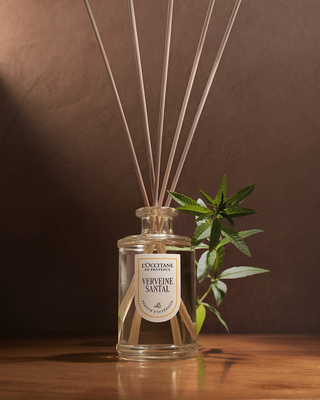 Difusor de Ambiente Verbena Santal 240mL + Varetas